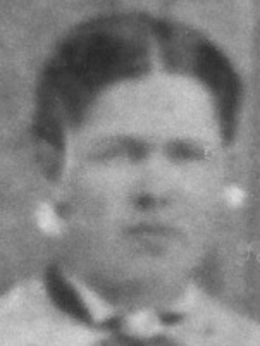 Clara Anna Humes (1850 - 1901) Profile